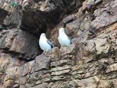 -海驴岛(荣成市)