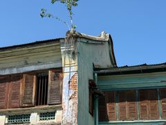 -槟城街头艺术街区