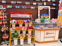 -海底捞火锅(铂澜大象城店)