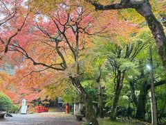 -醍醐寺