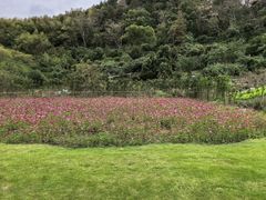 -东钱湖旅游度假区