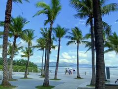 -福田红树林生态公园