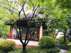 -秋霞圃