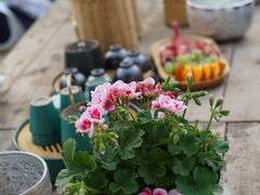 -悦哉·派对·草坪婚礼·围炉煮茶(三圣乡店)