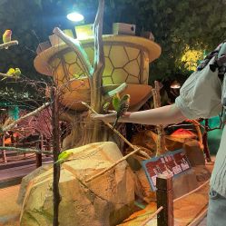 -酷嗒动物文化乐园(cutezoo西溪乐天城店)