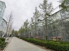 -南宫五洲植物乐园