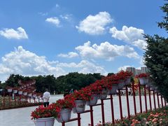 -北陵公园