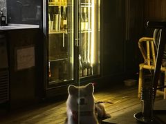 -毛辣果·酸(OHA复兴西路店)