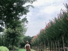 -武汉紫薇都市田园