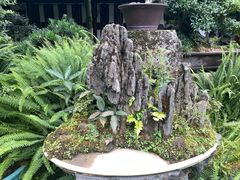 -成都杜甫草堂博物馆