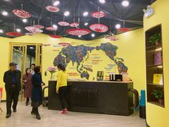 -杨梅红艺术教育(万象城校区)