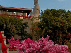 -东莞观音山旅游风景区