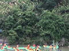 -雅鲁激流探险漂流