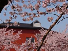 -永乐路-路侧停车场