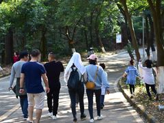 -大雁山风景区