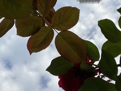 -国贸中心·国贸大厦三期