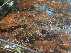 -79号渔船海鲜饭店(宝安店)