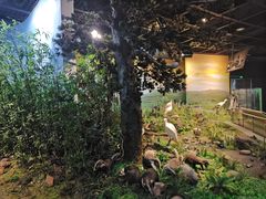 -陕西自然博物馆