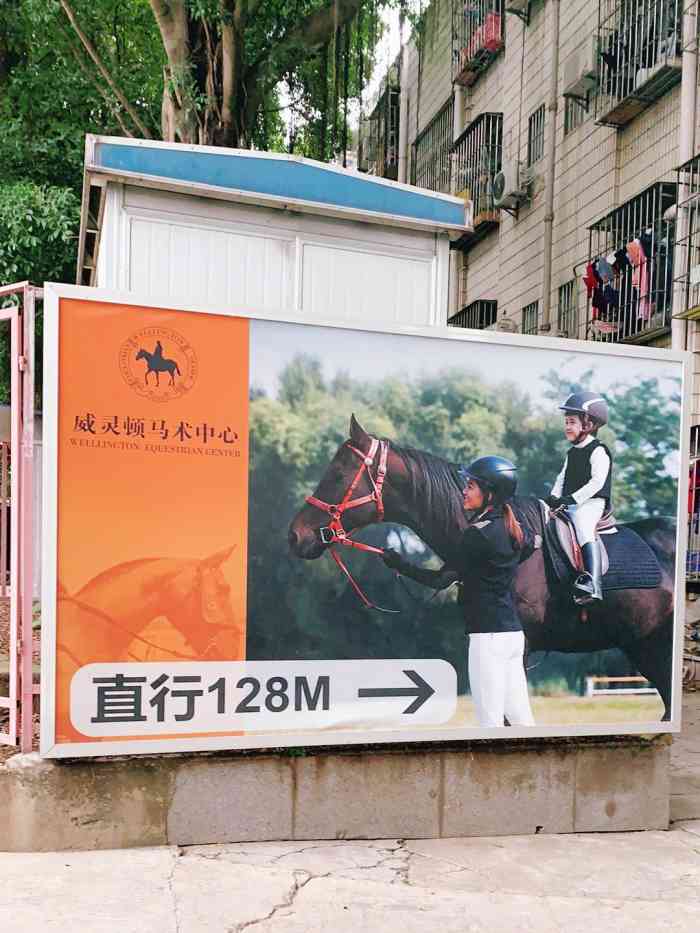 威灵顿马术中心"网上搜了感觉不错,带孩子们来体验,老师比.