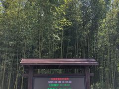 -黄海国家森林公园