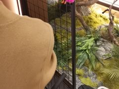 -火地铁板烧(昆山万象汇店)