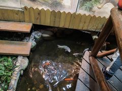 -上海大自然野生昆虫馆