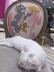 -川沐造型