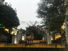 -楠柏弯休闲山庄(梨花溪店)