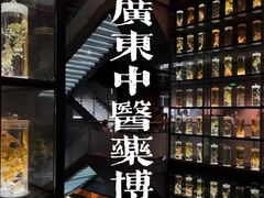 -广东中医药博物馆