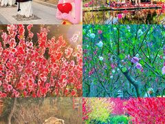 -桃花涧