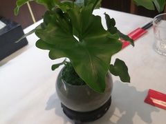 -懂羊帝·羊蝎子·北京菜(小关店)