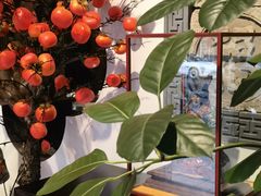 -福照楼汽锅鸡·云南菜(护国路店)