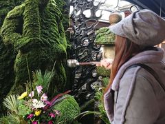 -Hōzen-ji Temple法善寺