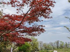 -南京市江宁方山