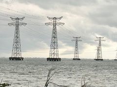 -宝安西湾红树林湿地公园