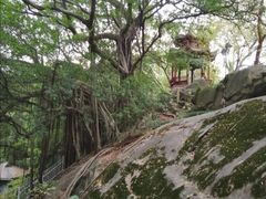 -乌山风景区
