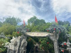 -王顺山国家森林公园