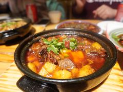 土豆煨牛肉（红汤）-陶德砂锅(蜀汉路店)