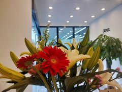 -XPEL旗舰店·汽车贴膜·隐形车衣·改色贴膜