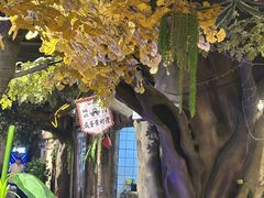 -城墙拐拐火锅(三峡广场黑金冠店)