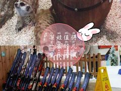 -Mr·Kuma酷么先生雪之乐园