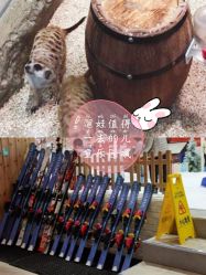 -Mr·Kuma酷么先生雪之乐园