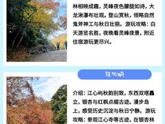 -泽雅景区