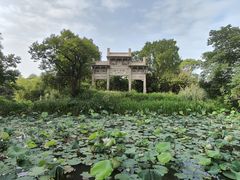 -西溪国家湿地公园