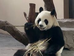-宁波野生动物园