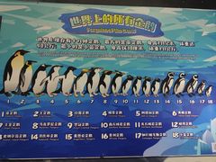 -珠海长隆海洋王国