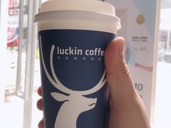 -瑞幸咖啡(南海万科广场店)