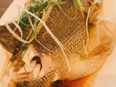 清蒸鲈鱼-周锦记广式餐厅(格林生活坊2期店)