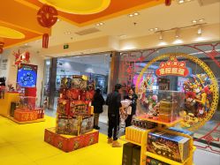 -乐高授权专卖店(朝阳大悦城店)