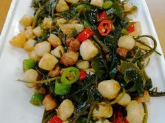 裙带菜炒贝丁-渔码头食府·20年蓬莱老字号(登州路店)